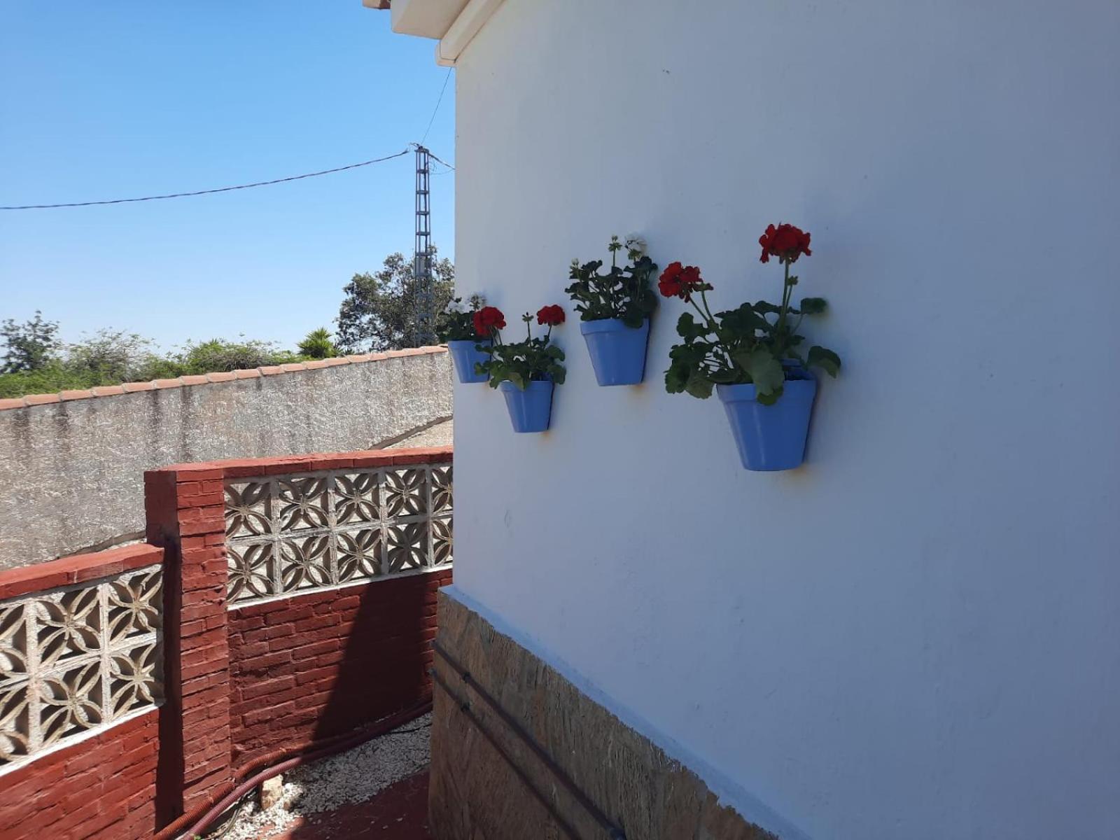 Casa Palma Villa Alhaurin de la Torre Bagian luar foto